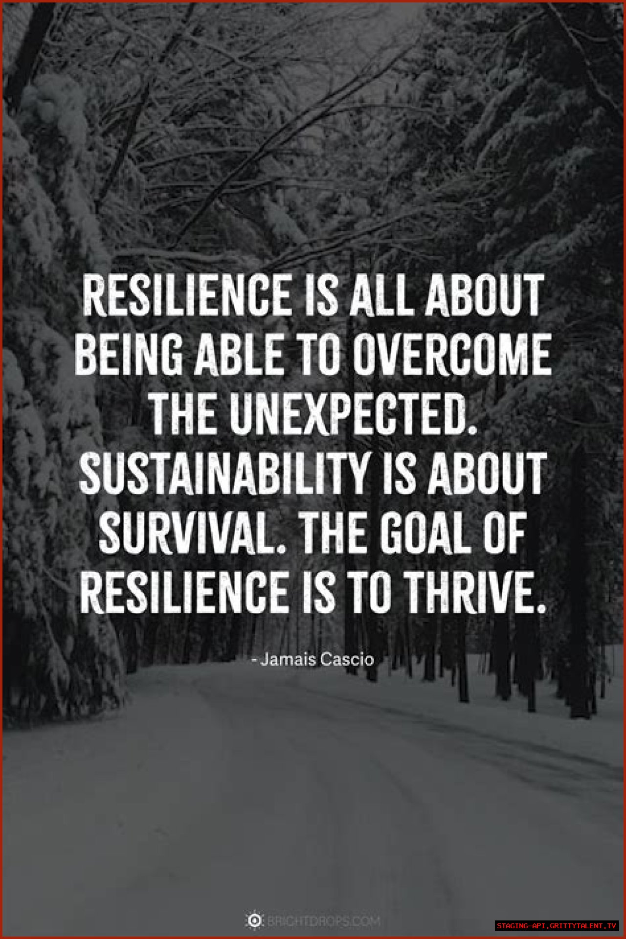 Antonio Rudiger: A Journey Of Resilience And Success