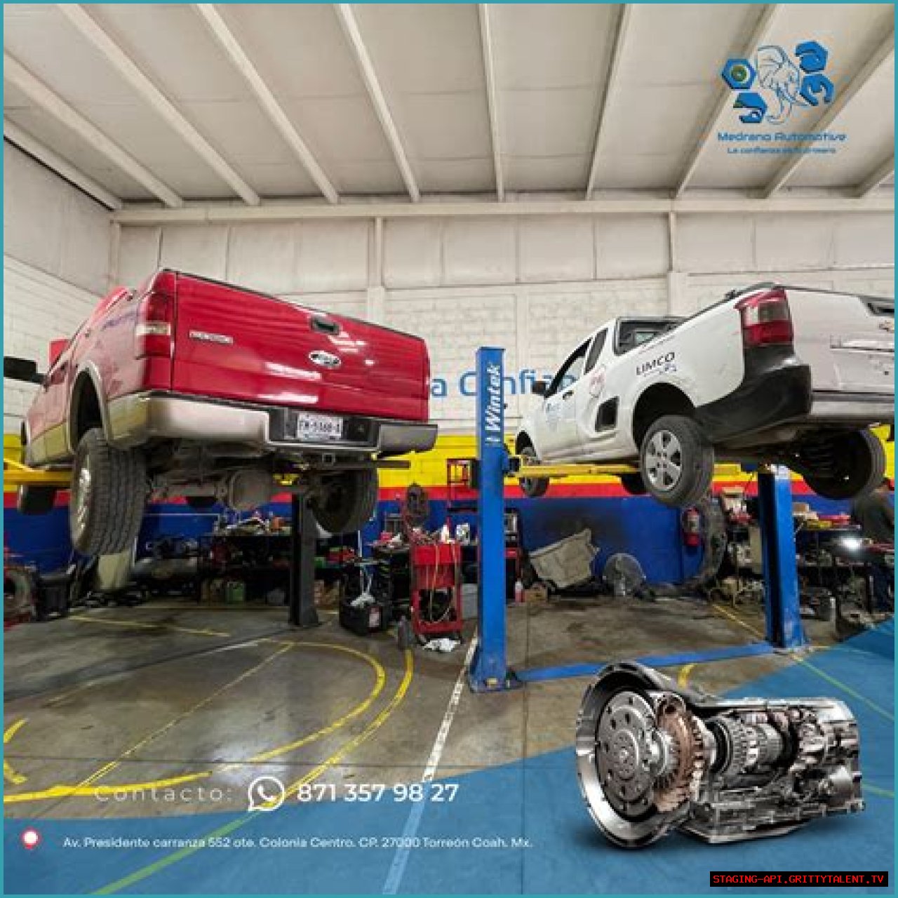 Carla Medrano: Automotive Trailblazer And Industry Innovator